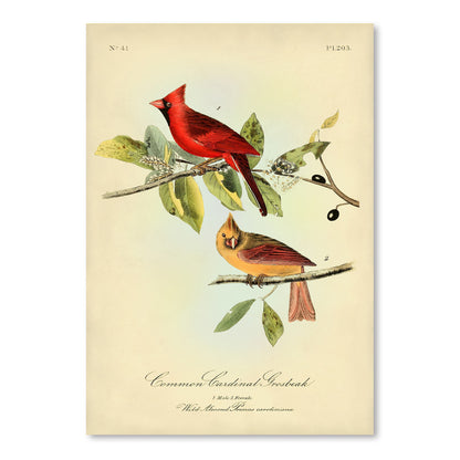Red Cardinal by Coastal Print & Design Art Print - Art Print - Americanflat