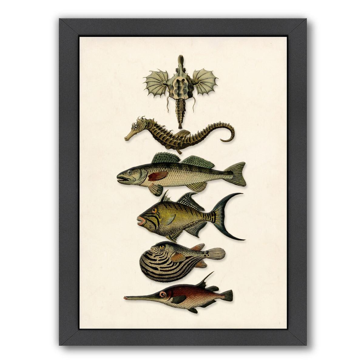 Six fish by Coastal Print & Design Framed Print - Americanflat