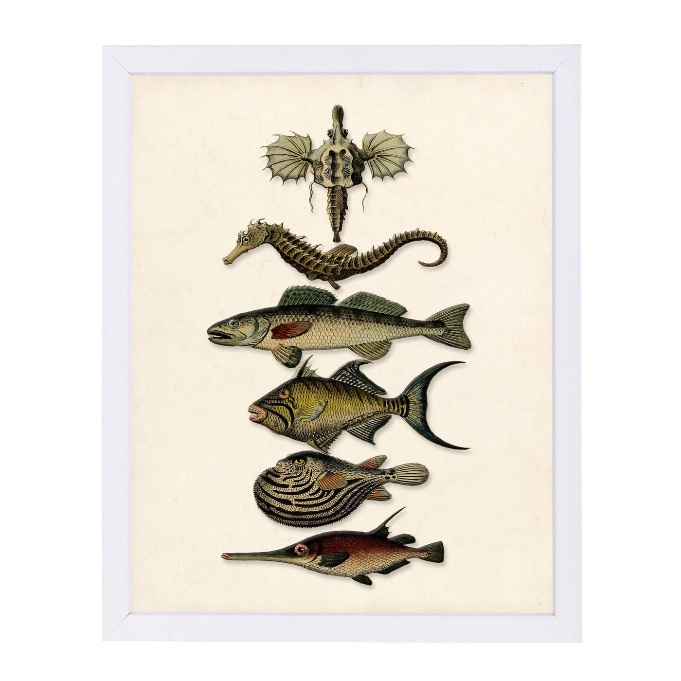 Six fish by Coastal Print & Design Framed Print - Americanflat