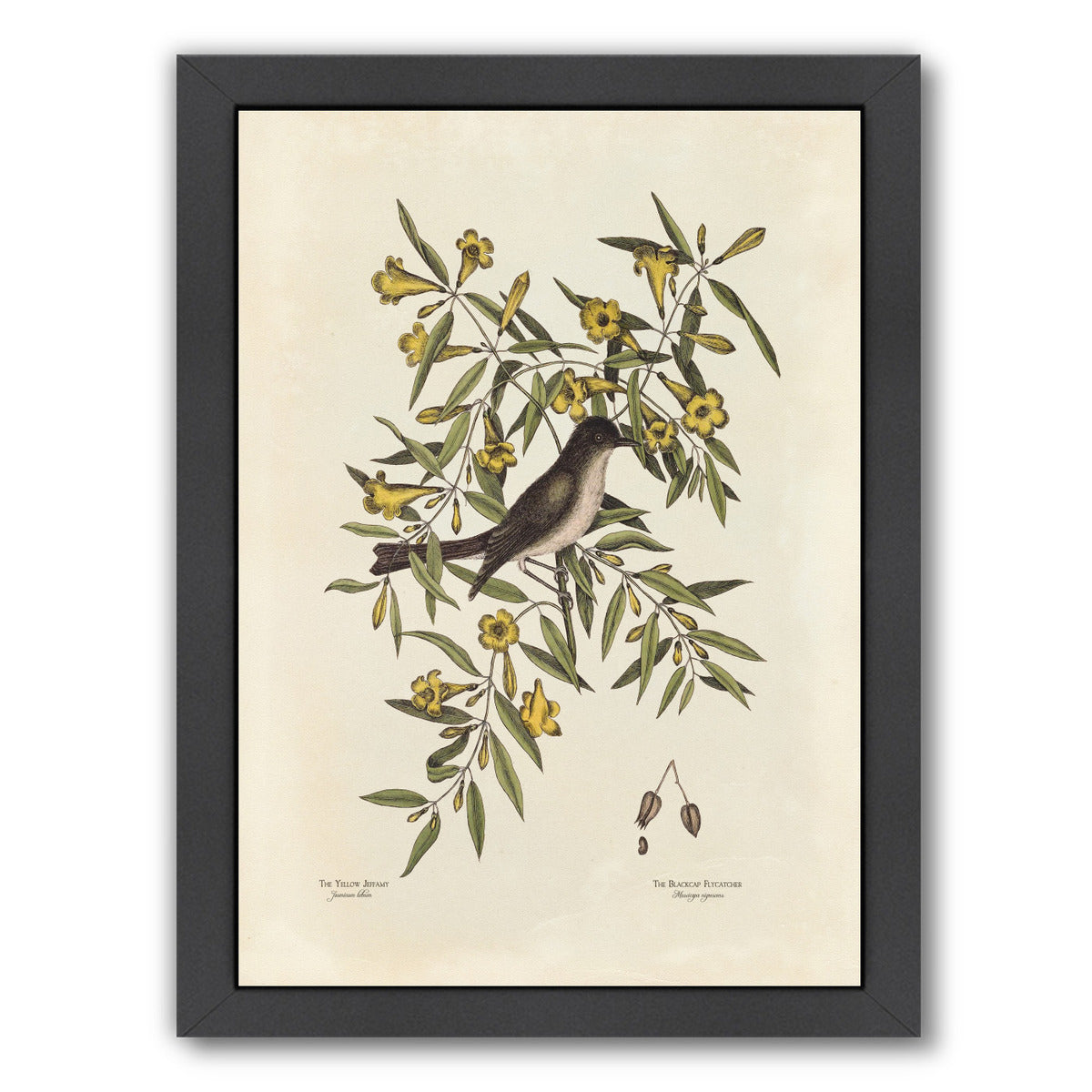 Yellow Jeffamy by Coastal Print & Design Framed Print - Americanflat