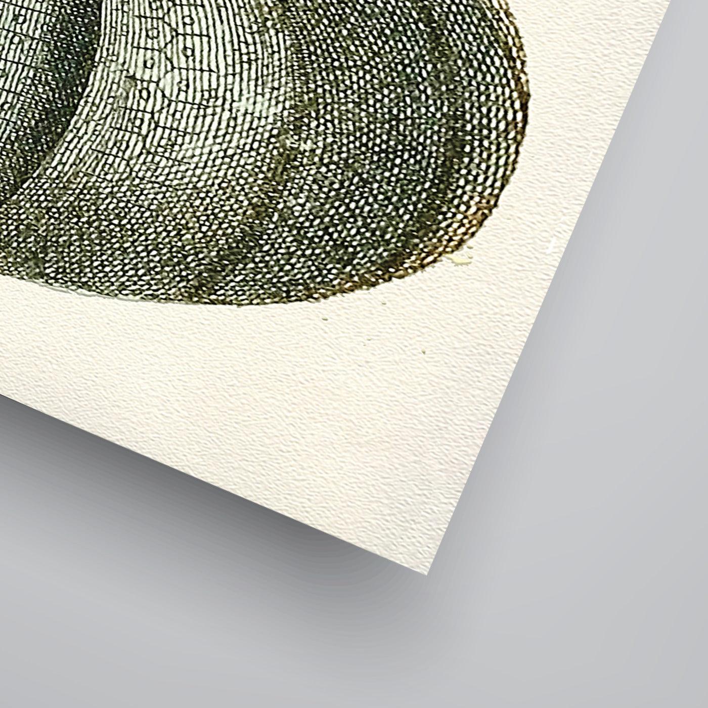 Sea Urchins by Coastal Print & Design Art Print - Art Print - Americanflat