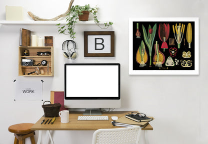 Tulips by Coastal Print & Design Framed Print - Americanflat