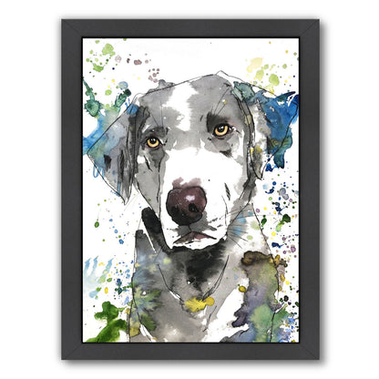 Pacha by Allison Gray Framed Print - Americanflat