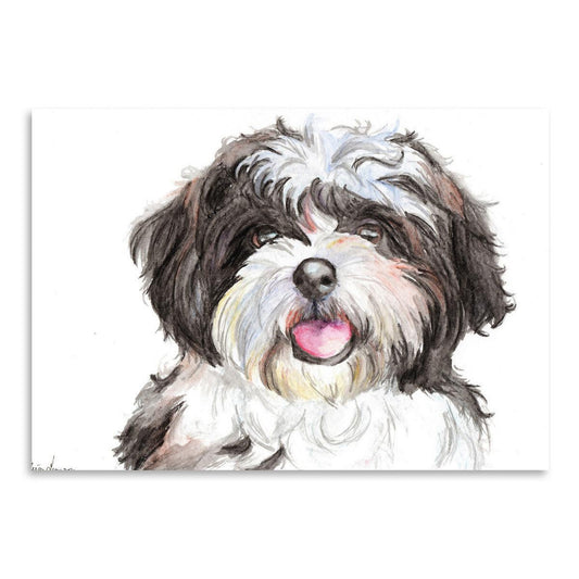 Shih Tzu by Allison Gray Art Print - Art Print - Americanflat