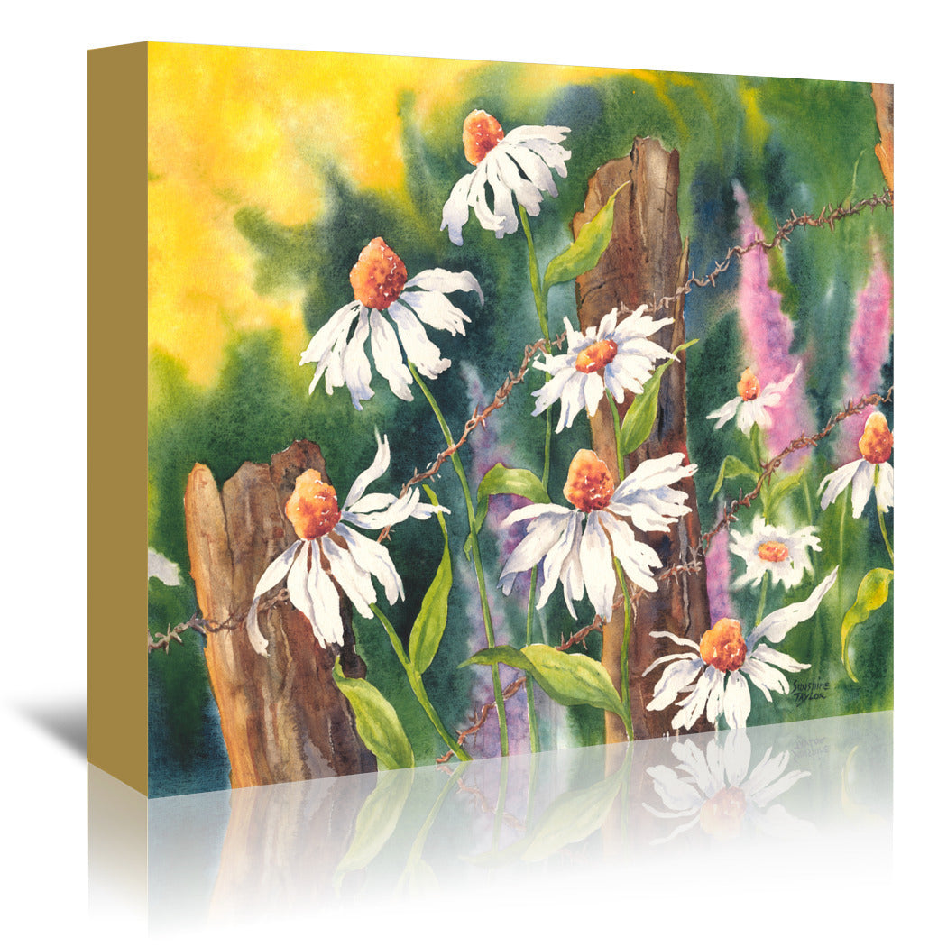 Daisy Dance by Sunshine Taylor Wrapped Canvas - Wrapped Canvas - Americanflat