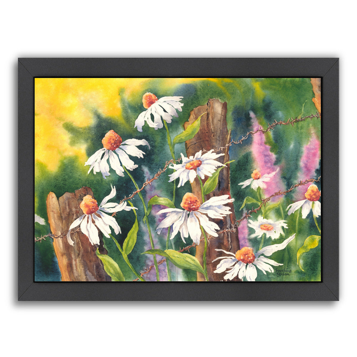 Daisy Dance by Sunshine Taylor Framed Print - Americanflat