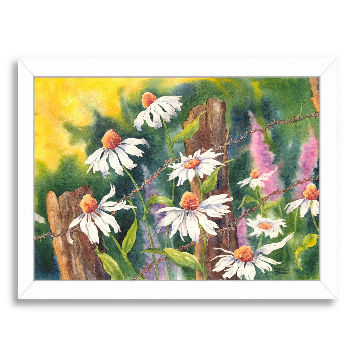Daisy Dance by Sunshine Taylor Framed Print - Americanflat