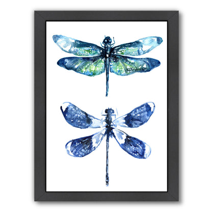 Dragonfly Wings by Sam Nagel Framed Print - Americanflat