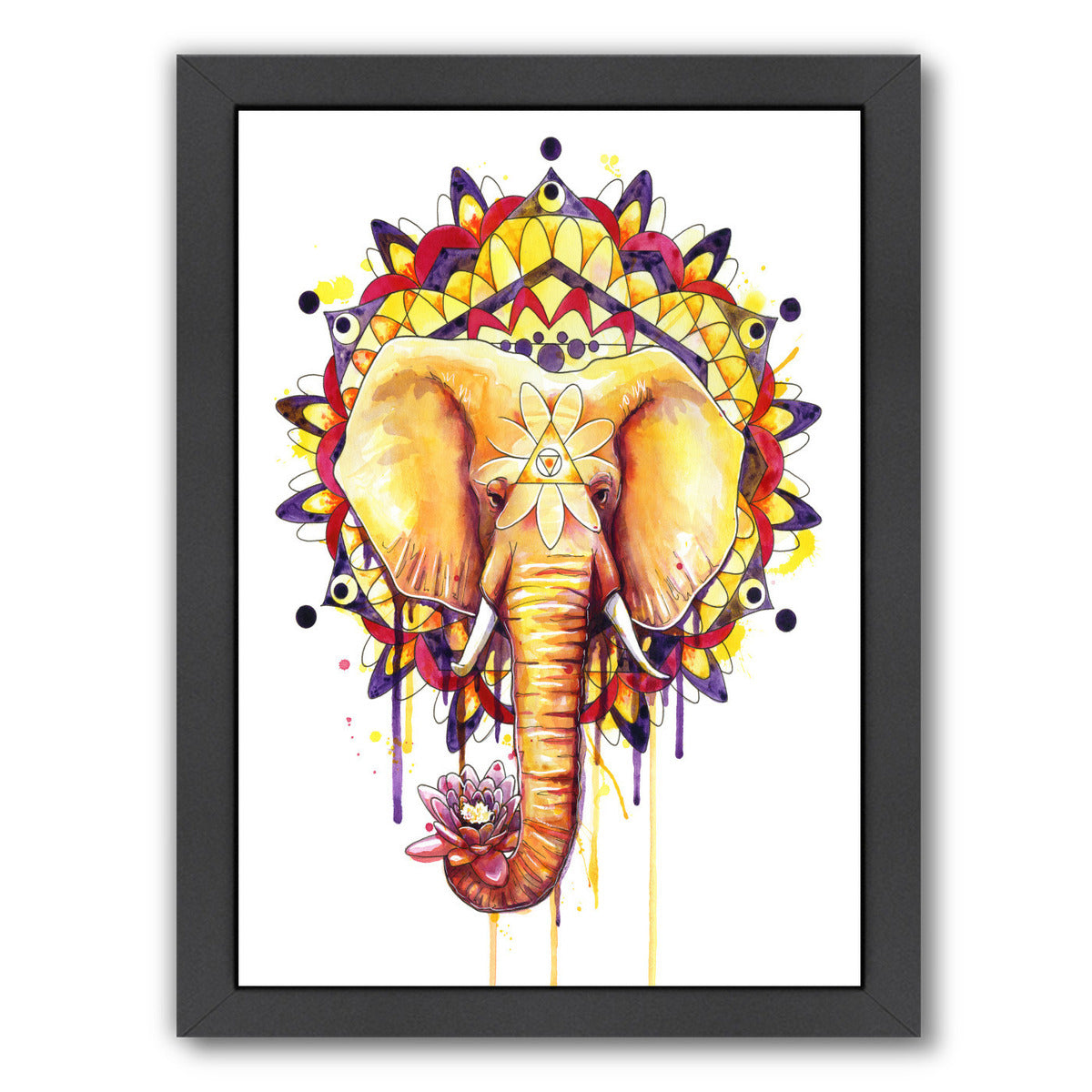 Elephant Mandala by Sam Nagel Framed Print - Americanflat