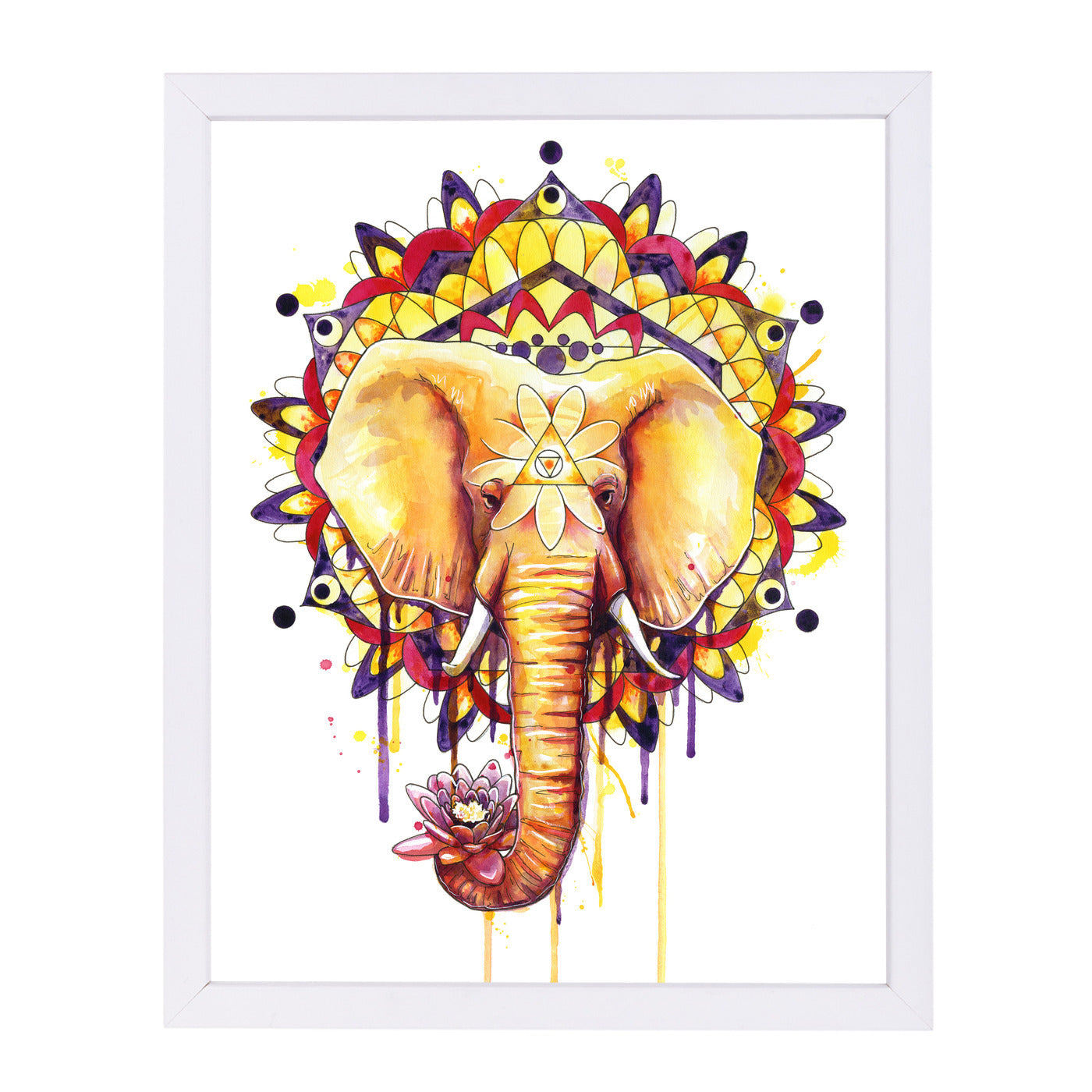 Elephant Mandala by Sam Nagel Framed Print - Americanflat