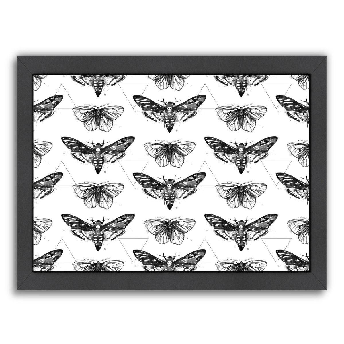 Geometric Moths by Sam Nagel Framed Print - Americanflat