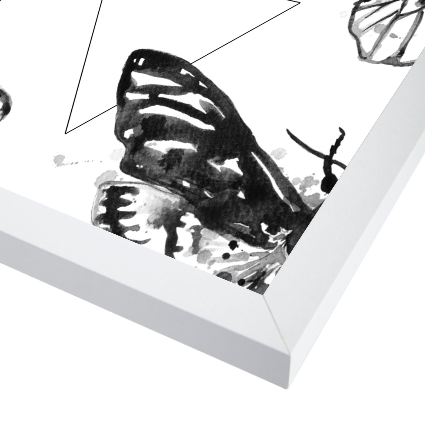 Geometric Moths by Sam Nagel Framed Print - Americanflat