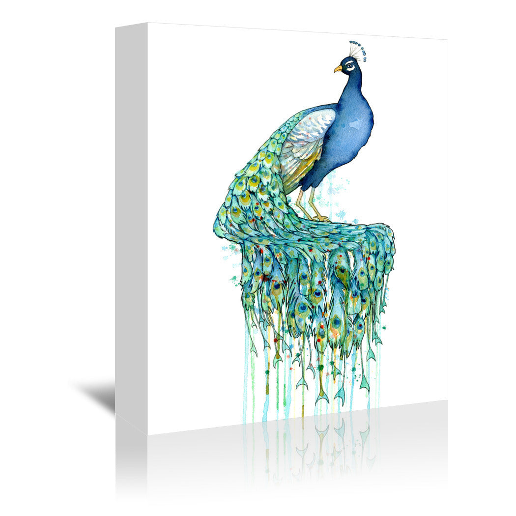 Peacock by Sam Nagel Wrapped Canvas - Wrapped Canvas - Americanflat