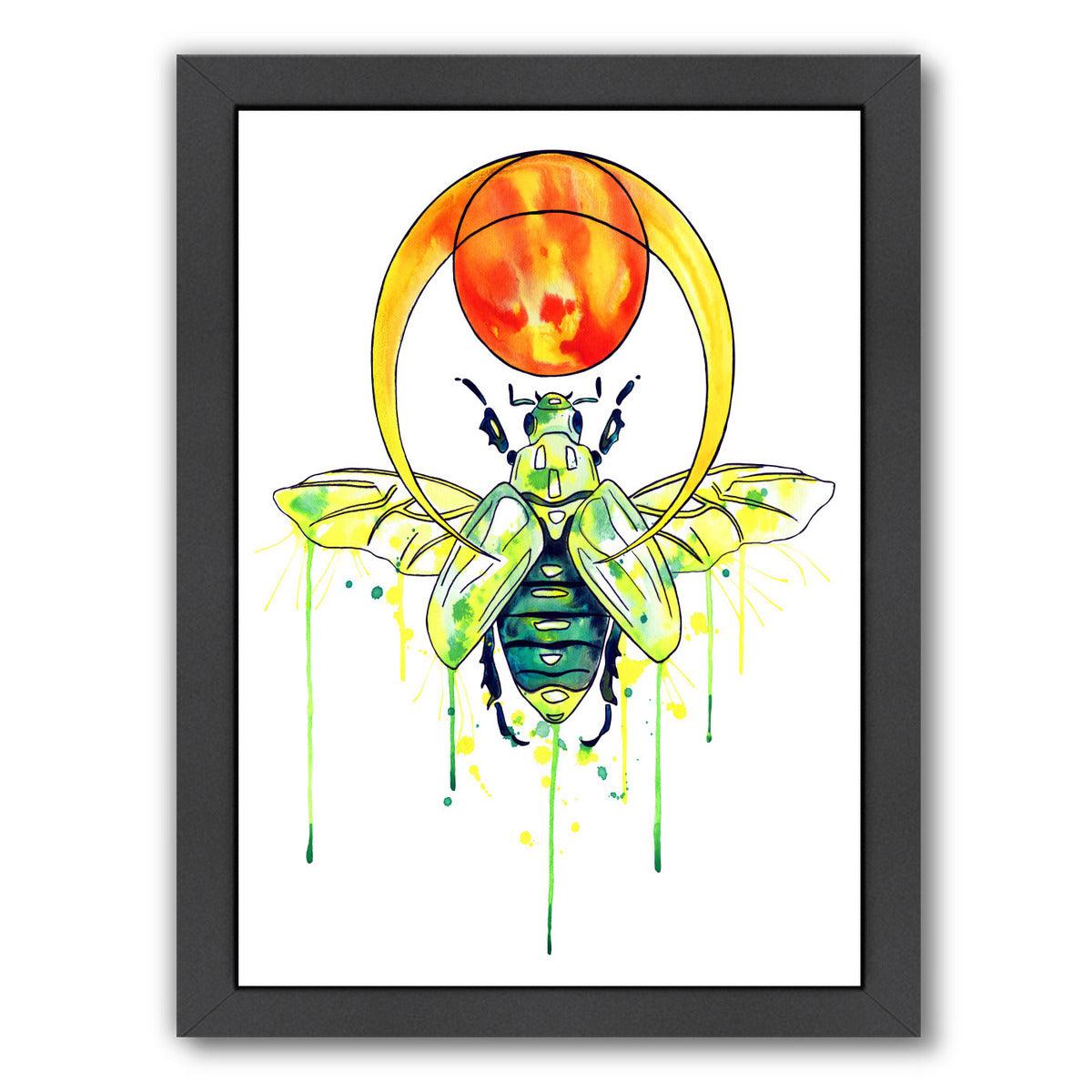 Scarab Beetle by Sam Nagel Framed Print - Americanflat
