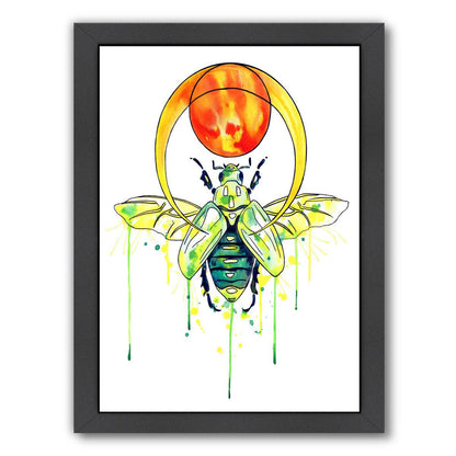 Scarab Beetle by Sam Nagel Framed Print - Americanflat