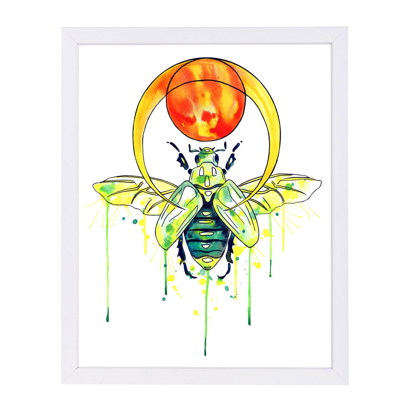 Scarab Beetle by Sam Nagel Framed Print - Americanflat