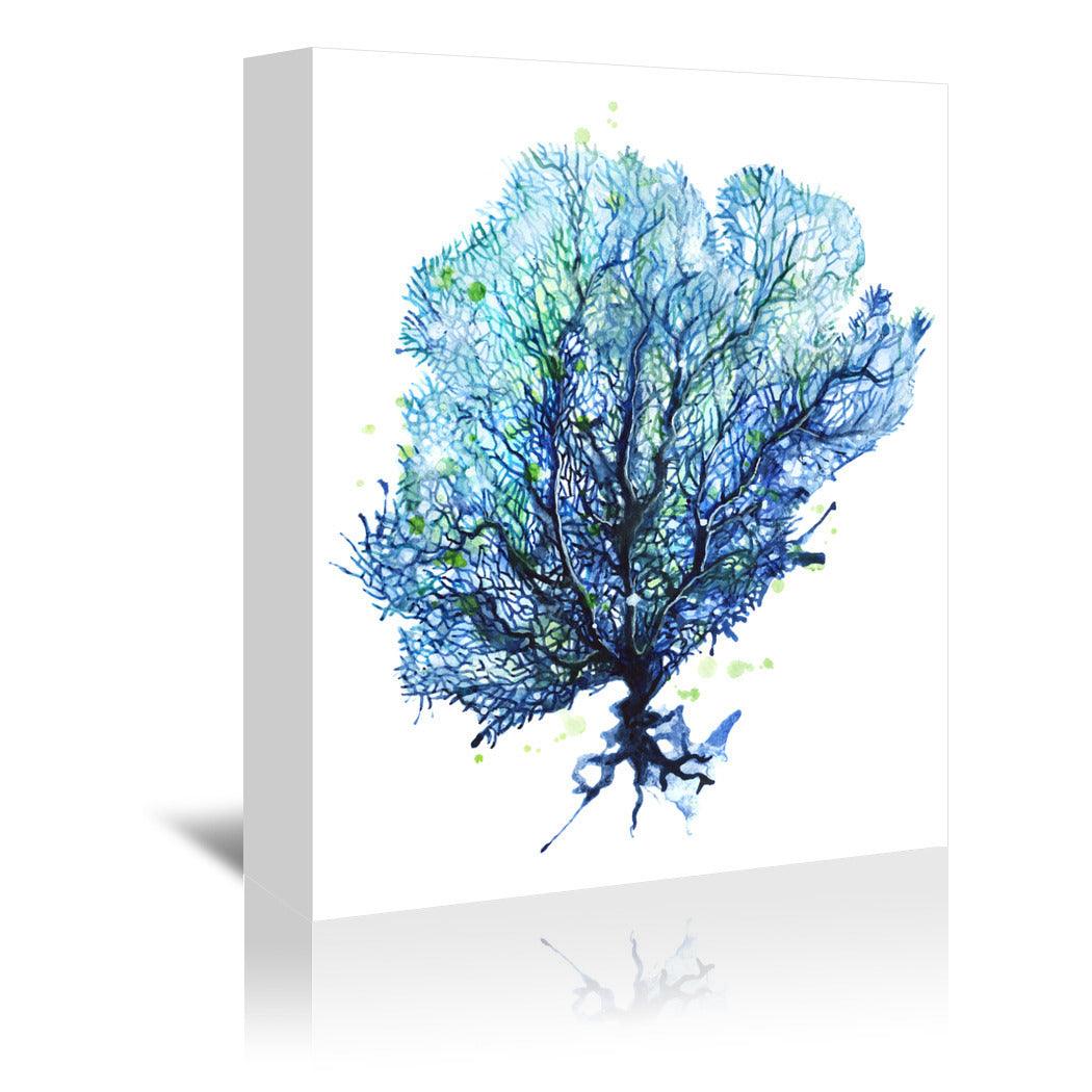 Sea Fan Aqua by Sam Nagel Wrapped Canvas - Wrapped Canvas - Americanflat