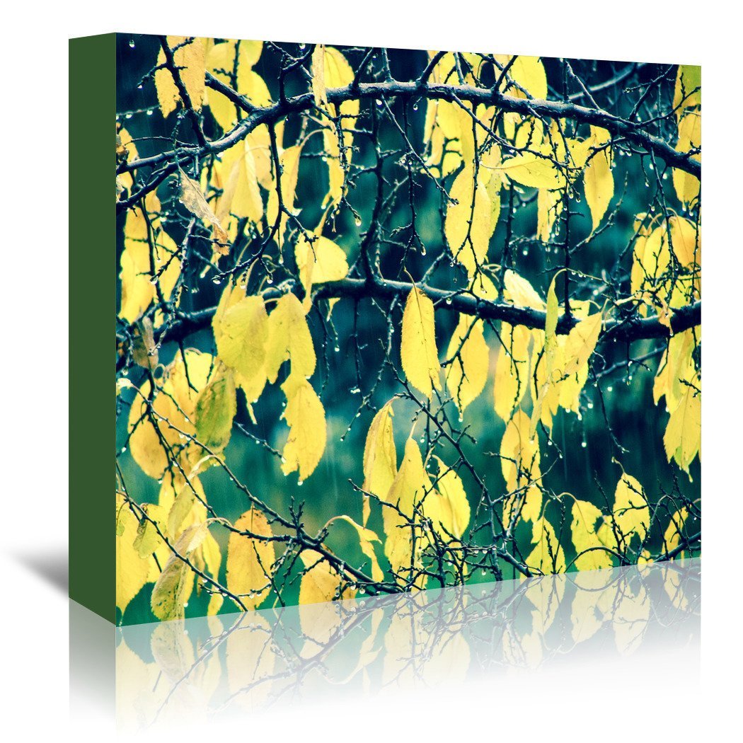 Changes by Annie Bailey Wrapped Canvas - Wrapped Canvas - Americanflat