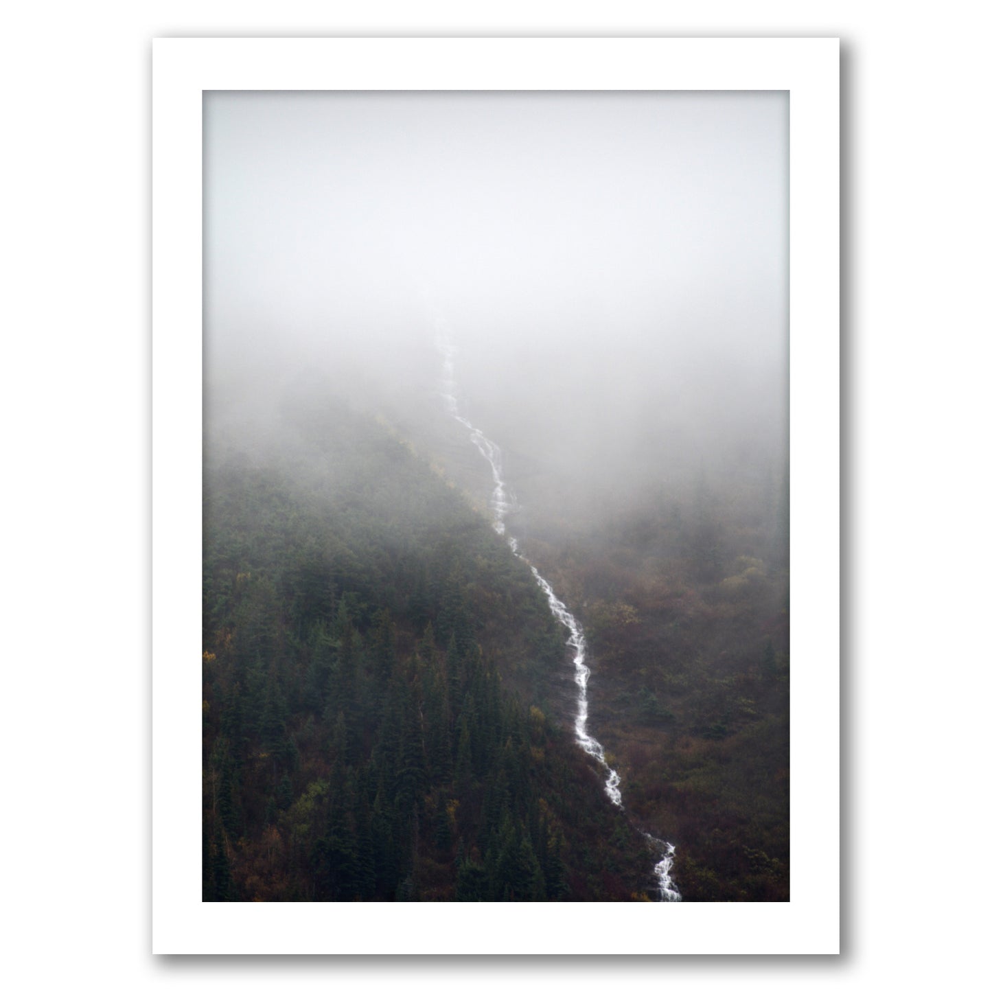Fall Falling by Annie Bailey - Framed Print - Americanflat