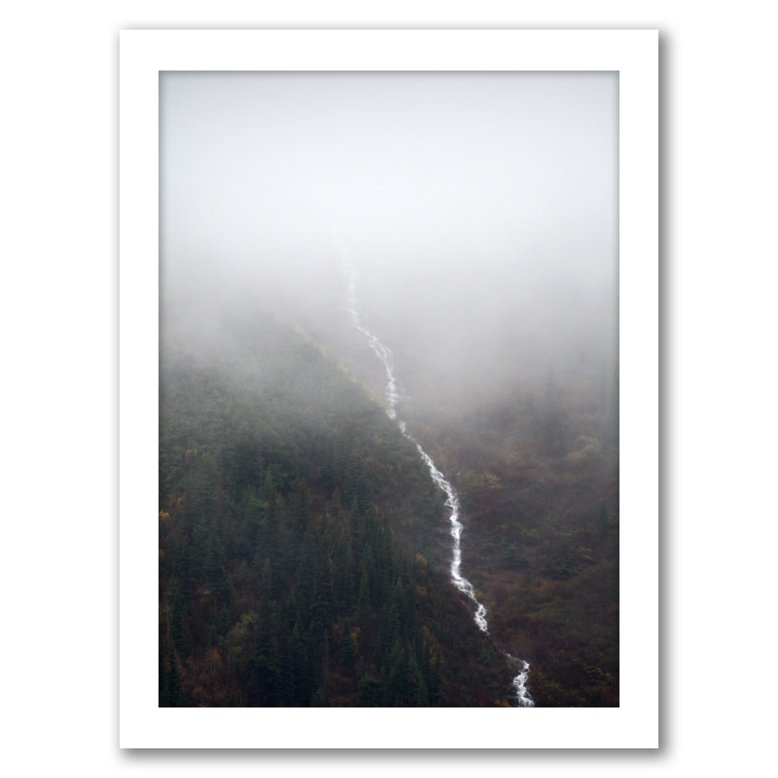 Fall Falling by Annie Bailey - Framed Print - Americanflat