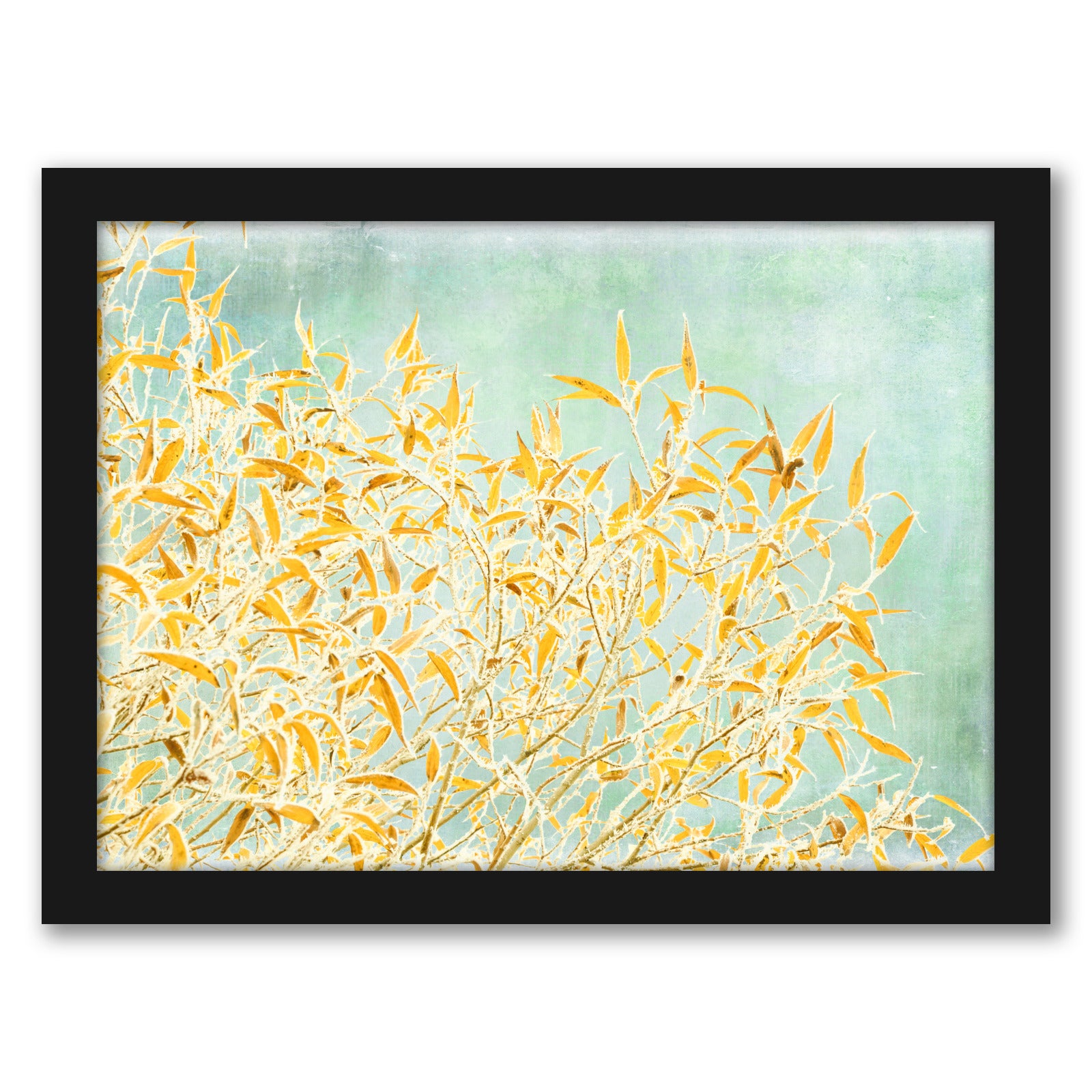Fall Interrupted by Annie Bailey - Framed Print - Americanflat
