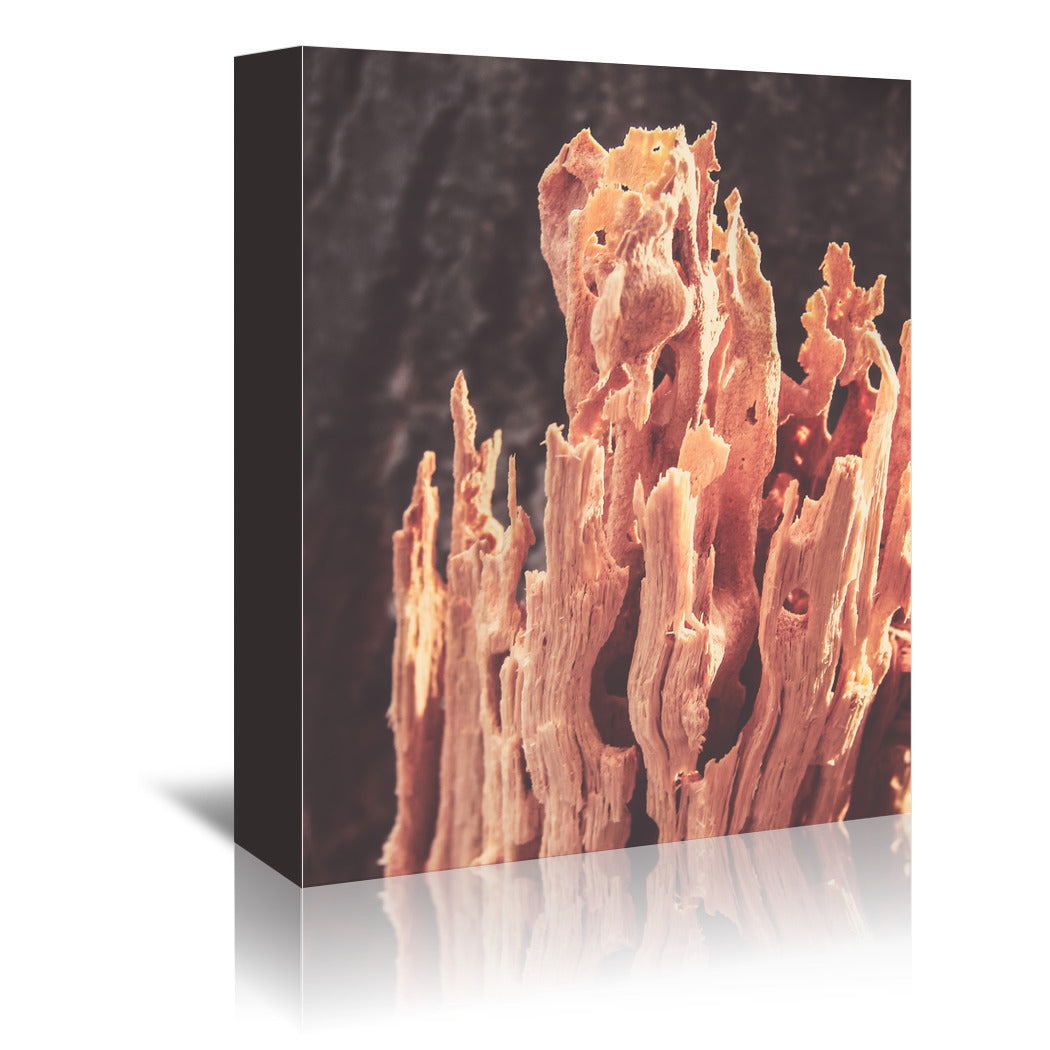 Fire Wood by Annie Bailey Wrapped Canvas - Wrapped Canvas - Americanflat