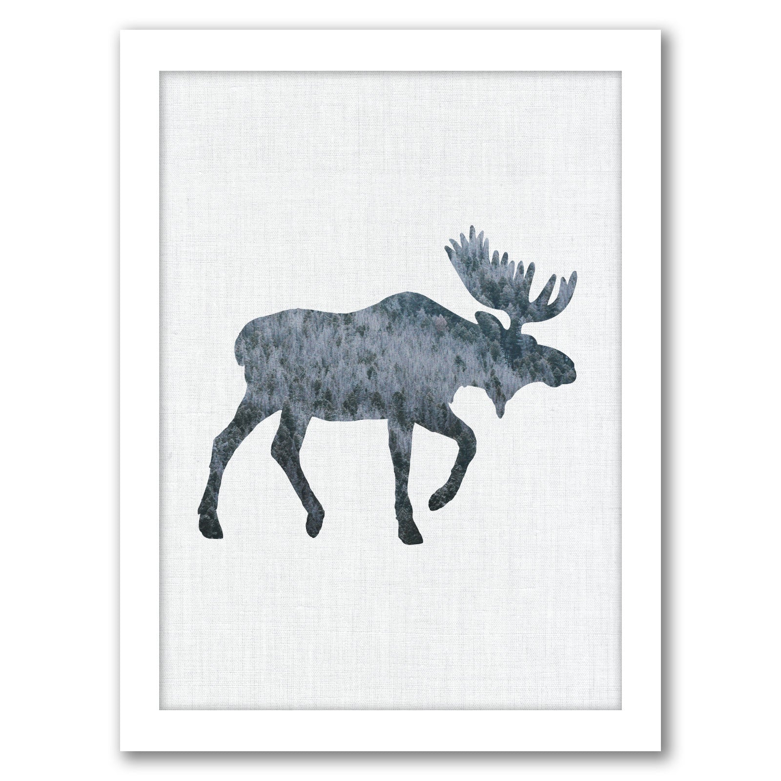 Moose by Annie Bailey - Framed Print - Americanflat