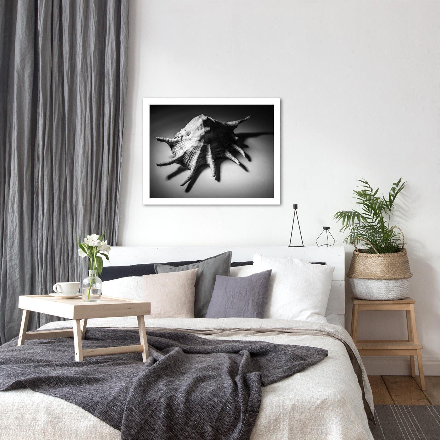 Shell Number 3 by Annie Bailey - Framed Print - Americanflat