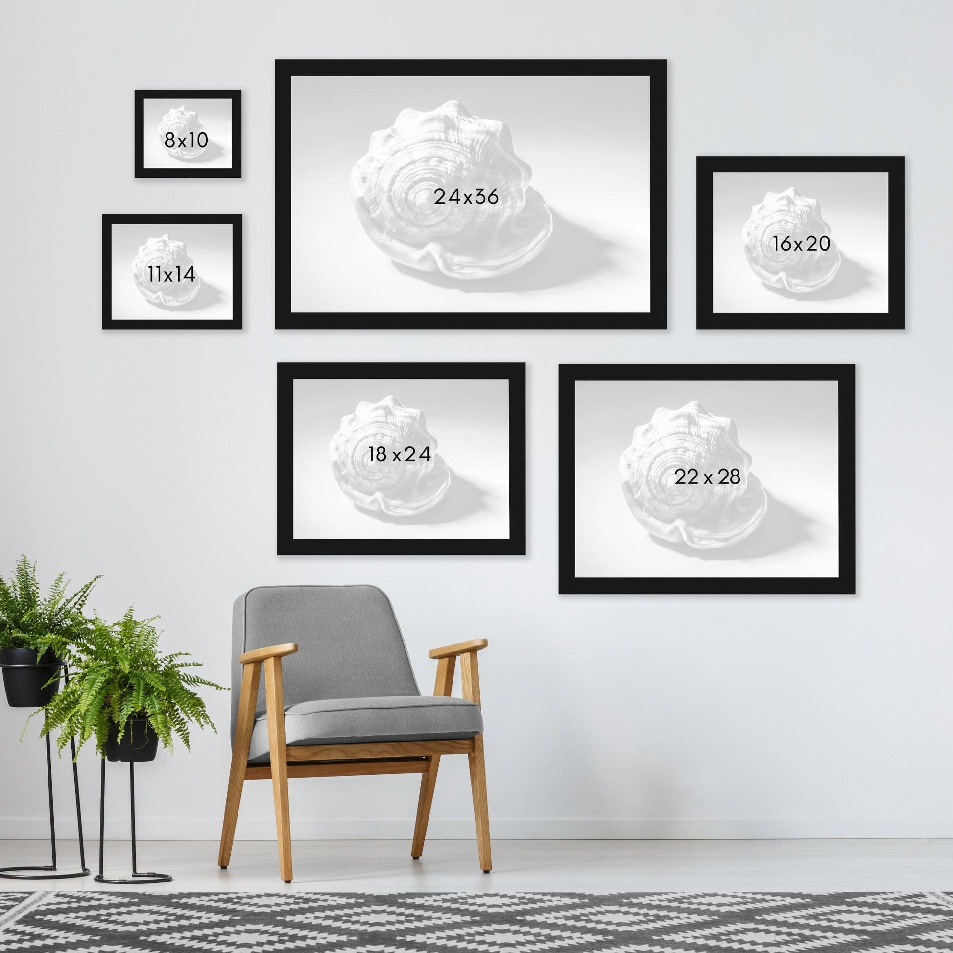 Shell Number 3 by Annie Bailey - Framed Print - Americanflat