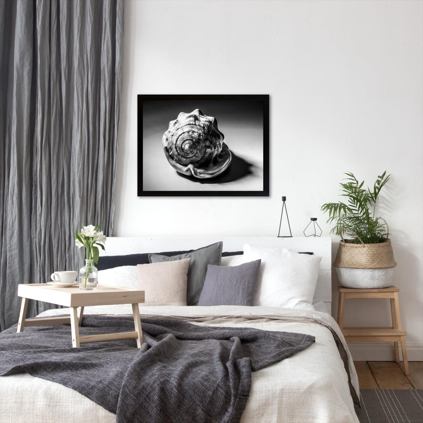 Shell Number 3 by Annie Bailey - Framed Print - Americanflat