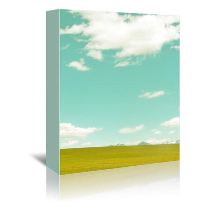 Spring Meadow by Annie Bailey Wrapped Canvas - Wrapped Canvas - Americanflat