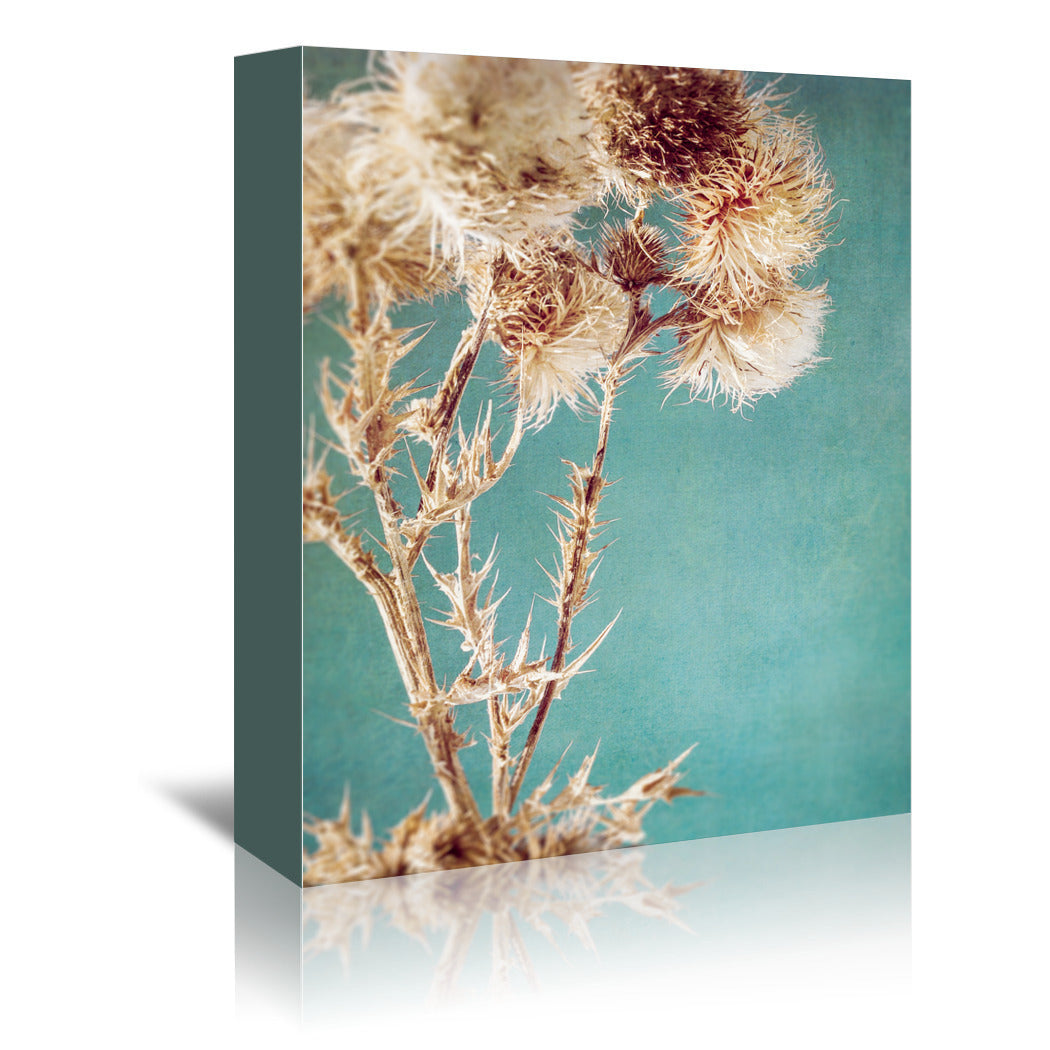 Thistles by Annie Bailey Wrapped Canvas - Wrapped Canvas - Americanflat