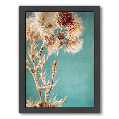 Thistles by Annie Bailey Framed Print - Americanflat