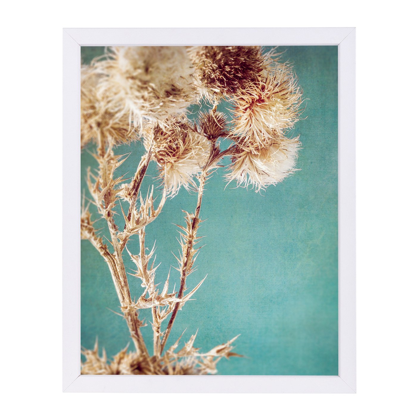 Thistles by Annie Bailey Framed Print - Americanflat