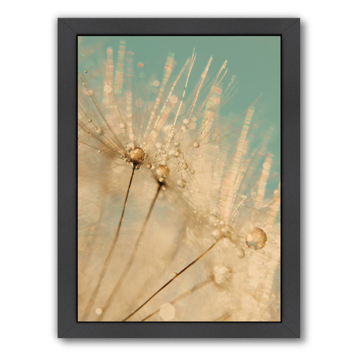 Dandelion Gold Mint Gold by Ingrid Beddoes Framed Print - Americanflat