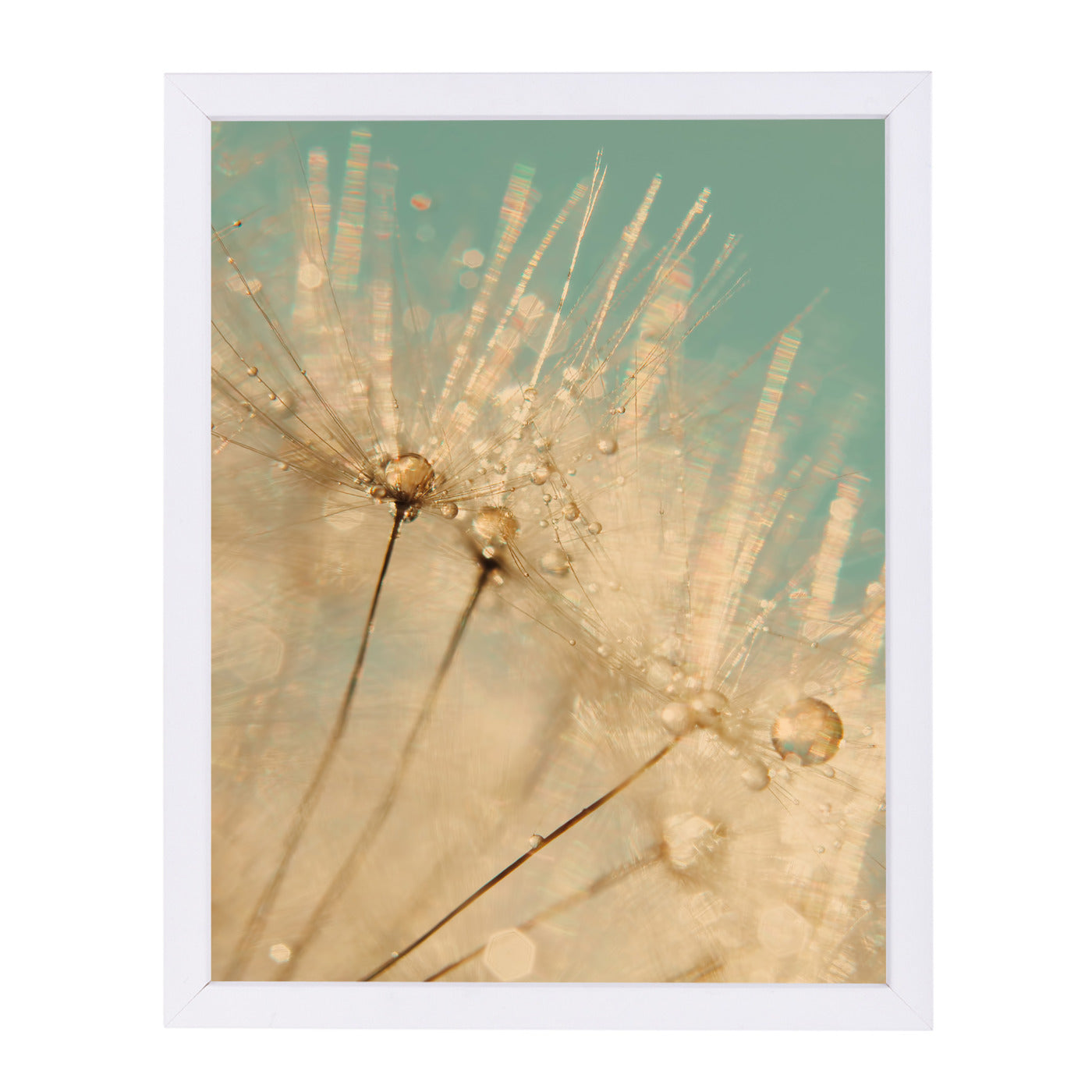 Dandelion Gold Mint Gold by Ingrid Beddoes Framed Print - Americanflat