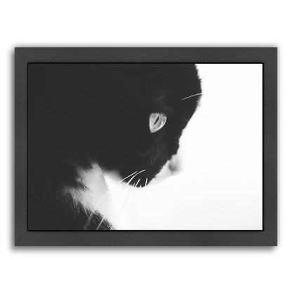 Day Dreaming Iii by Ingrid Beddoes Framed Print - Americanflat