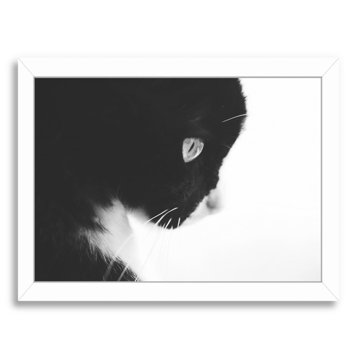 Day Dreaming Iii by Ingrid Beddoes Framed Print - Americanflat