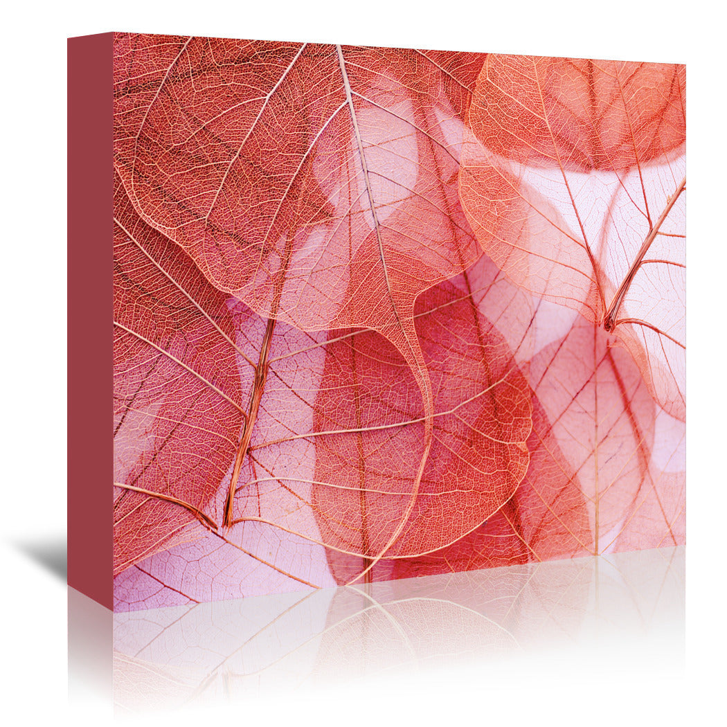 Delicate In Pink by Ingrid Beddoes Wrapped Canvas - Wrapped Canvas - Americanflat