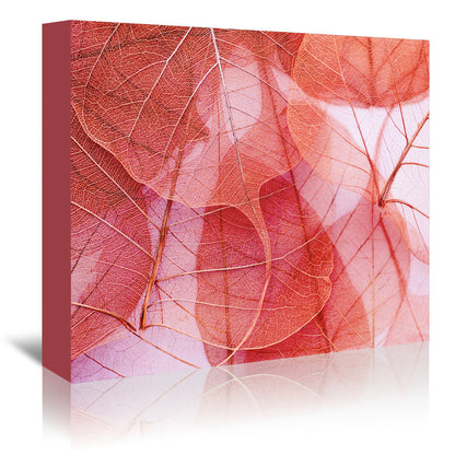 Delicate In Pink by Ingrid Beddoes Wrapped Canvas - Wrapped Canvas - Americanflat