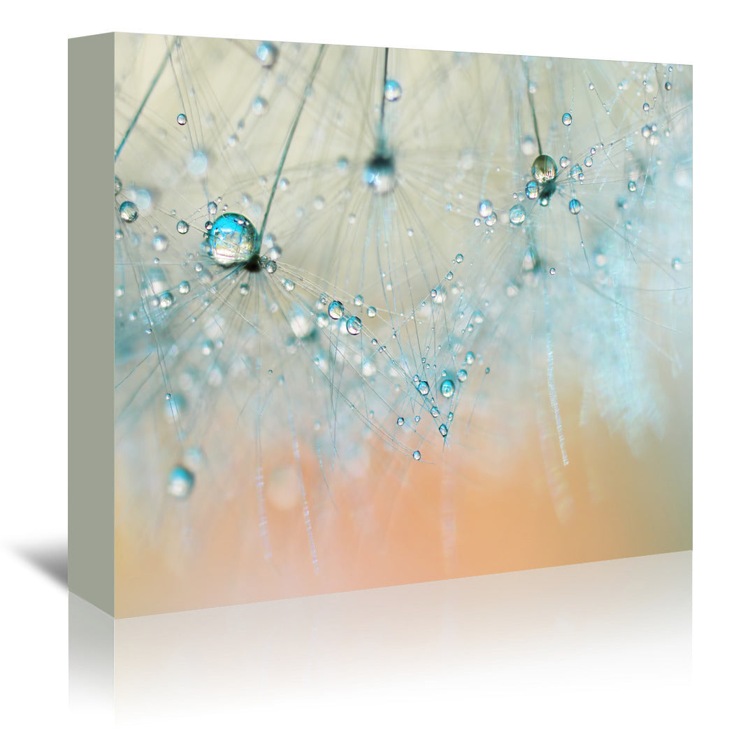 Droplets Of Aqua by Ingrid Beddoes Wrapped Canvas - Wrapped Canvas - Americanflat