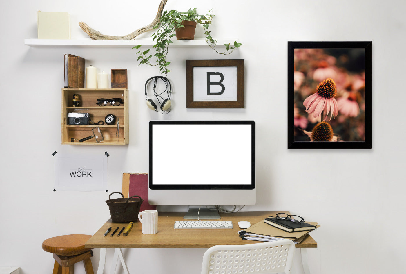 Echinacea by Ingrid Beddoes Framed Print - Americanflat
