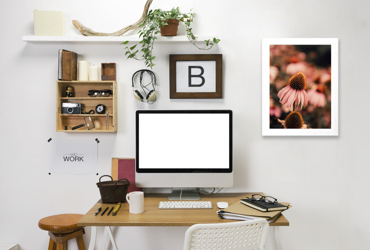 Echinacea by Ingrid Beddoes Framed Print - Americanflat