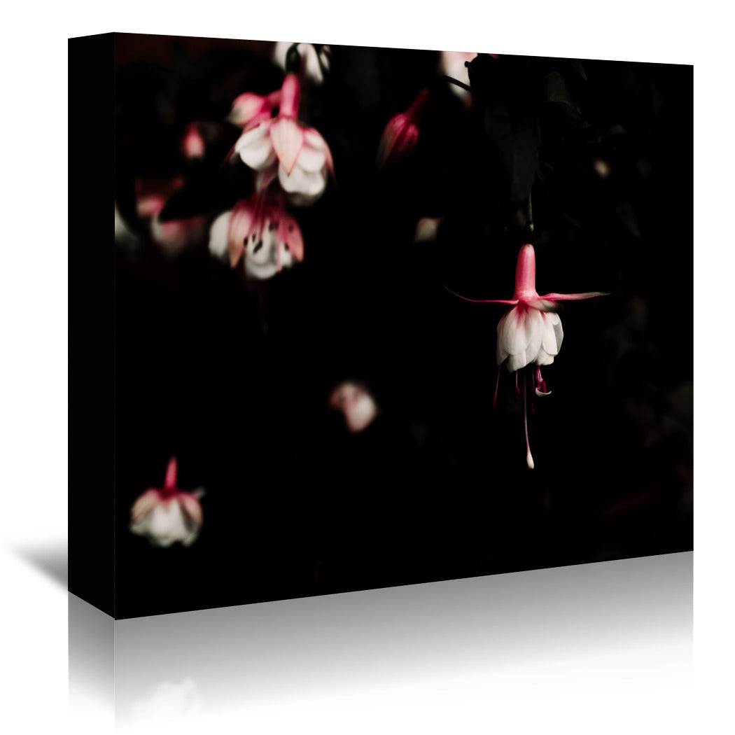 Fuchsia by Ingrid Beddoes Wrapped Canvas - Wrapped Canvas - Americanflat
