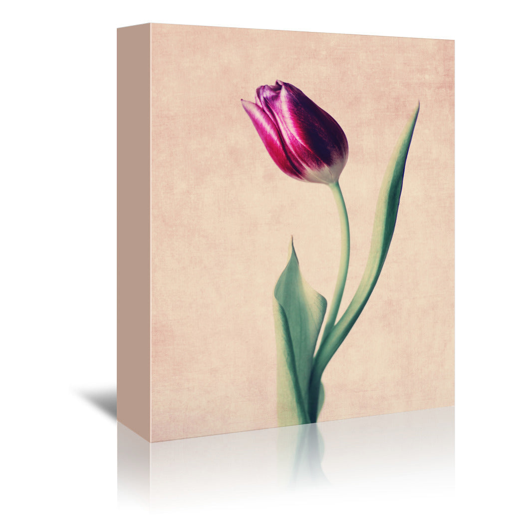 Grace by Ingrid Beddoes Wrapped Canvas - Wrapped Canvas - Americanflat