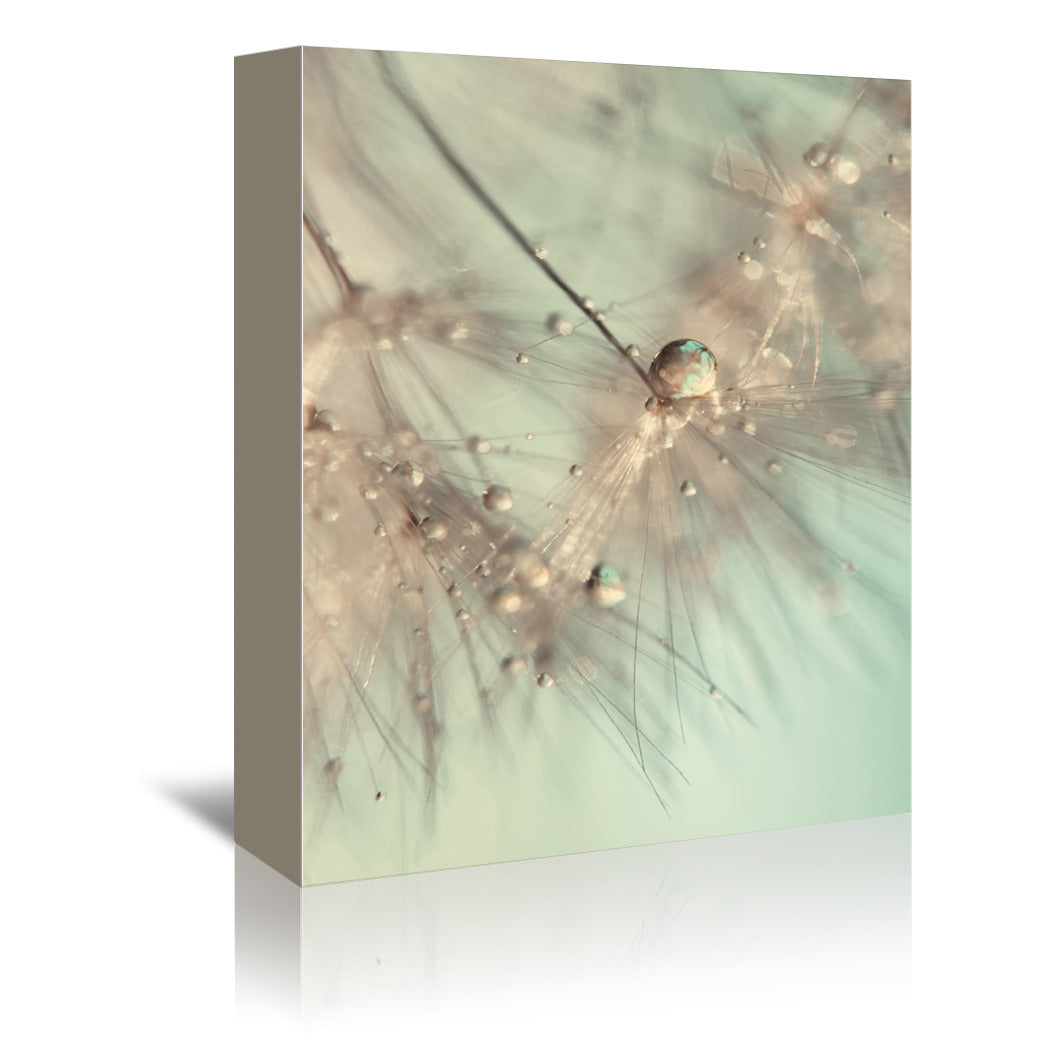 Morning Sparkle by Ingrid Beddoes Wrapped Canvas - Wrapped Canvas - Americanflat