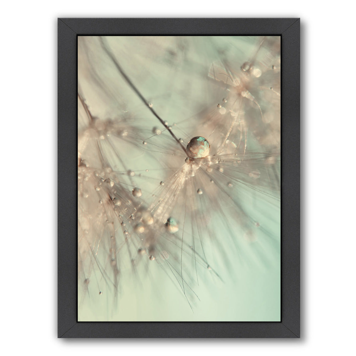 Morning Sparkle by Ingrid Beddoes Framed Print - Americanflat