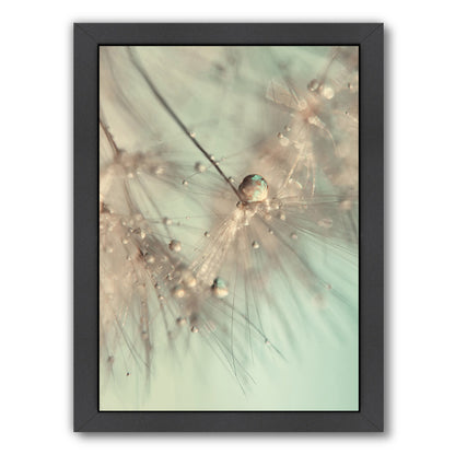 Morning Sparkle by Ingrid Beddoes Framed Print - Americanflat