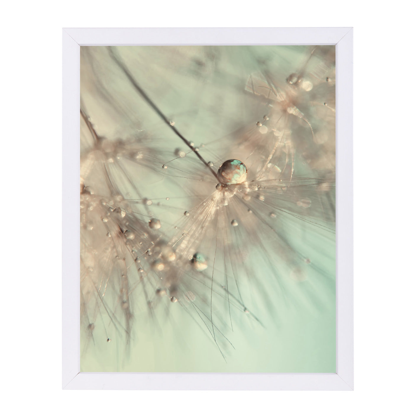 Morning Sparkle by Ingrid Beddoes Framed Print - Americanflat