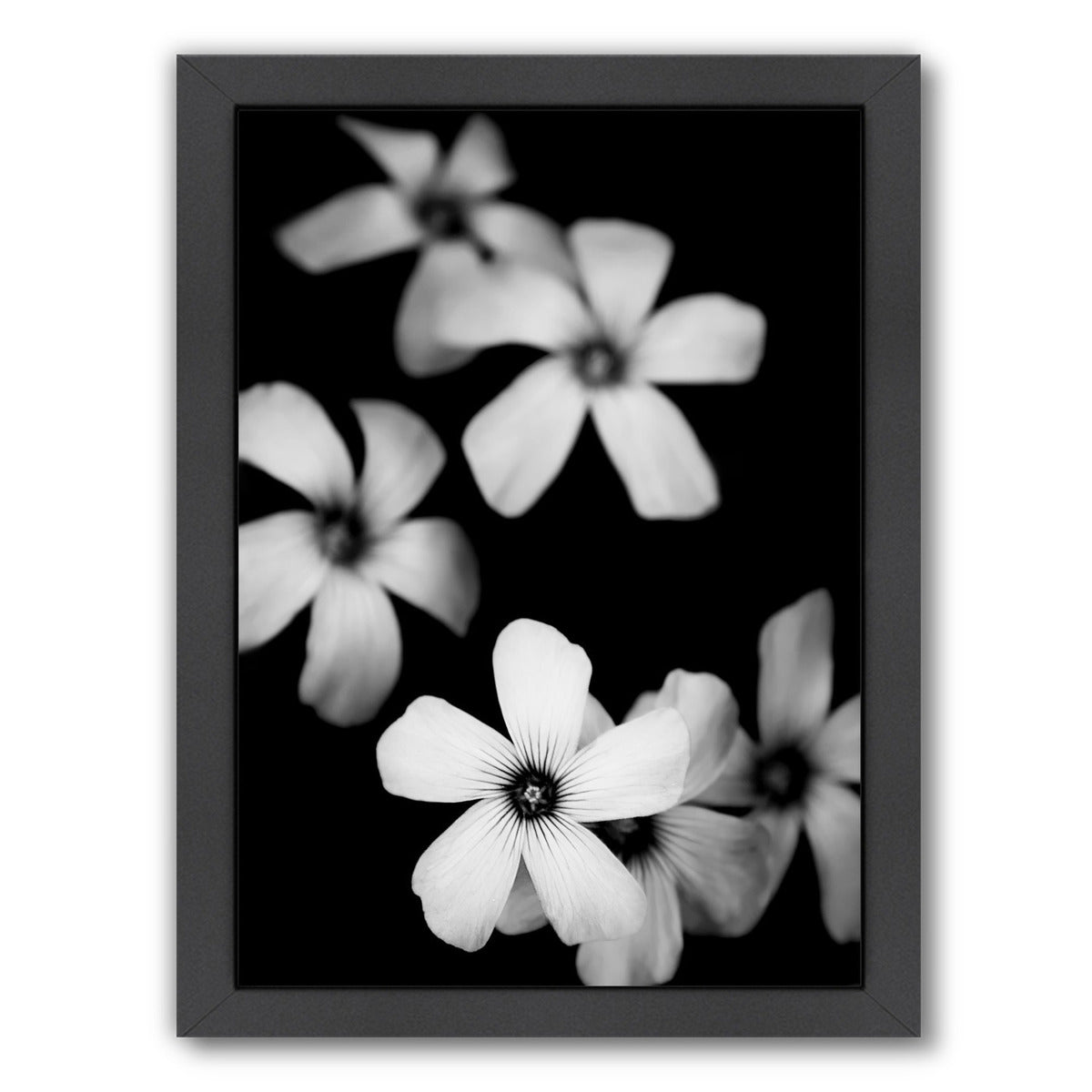 New Beginnings by Ingrid Beddoes Framed Print - Americanflat